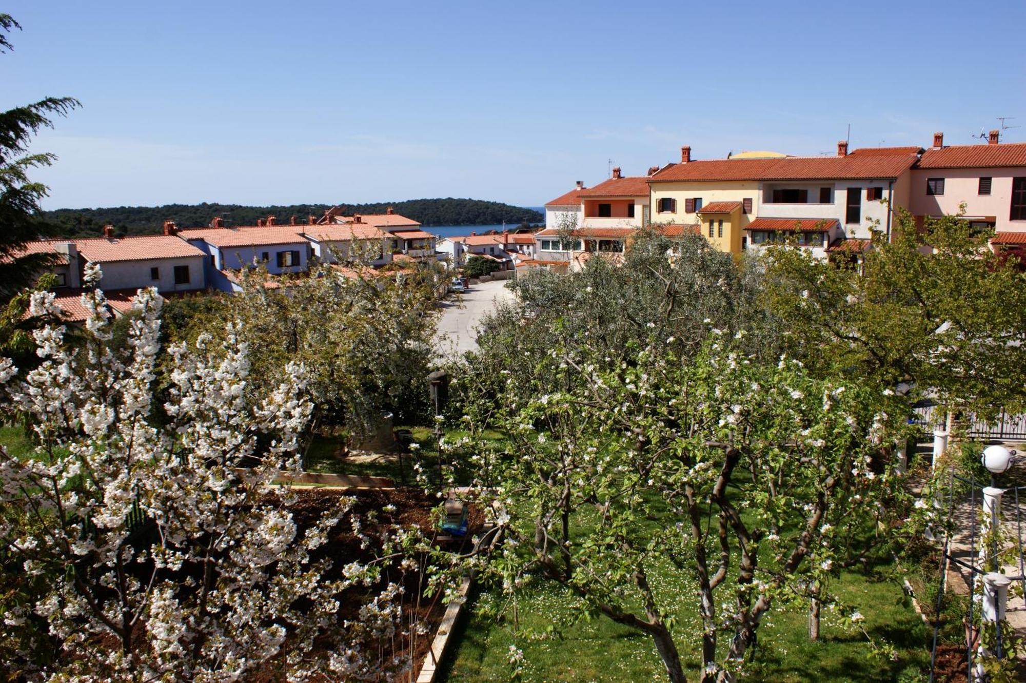 Apartments Cezar Vinkuran Buitenkant foto